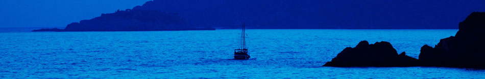 Electro-Guard customer suport